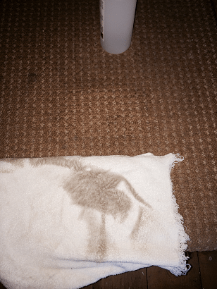Carpet Cleaner in Leicester, derby, Nottingham, Coventry, Northampton - www.FloorCareSpecialists.co.uk