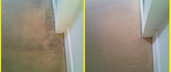 professional carpet cleaning in Leicester from Baileys Floorcare Specialists