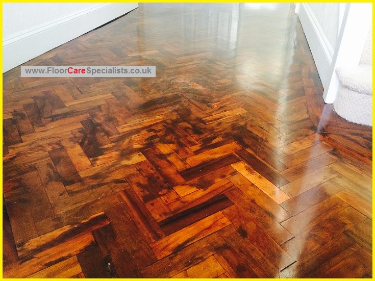 Wood Floor Sanders in Leicester - www.FloorCareSpecialists.co.uk Wood Floor Sanders in Leicester - www.FloorCareSpecialists.co.uk
