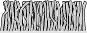 frieze