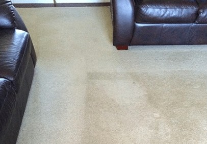 professional carpet cleaning in leicester